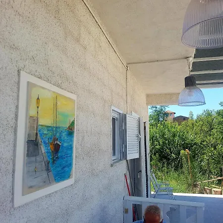 Matisse 4*