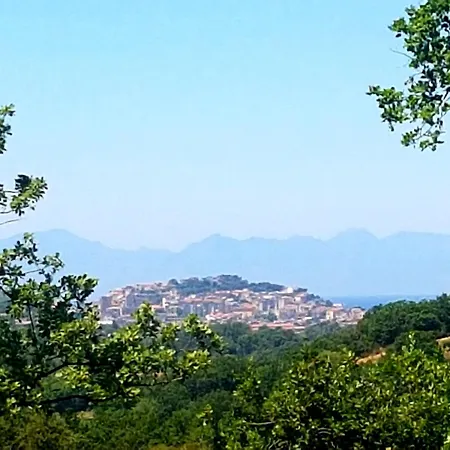 Bed & Breakfast Matisse