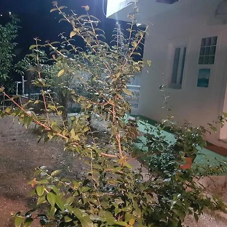 Matisse Bed & Breakfast Laureana Cilento