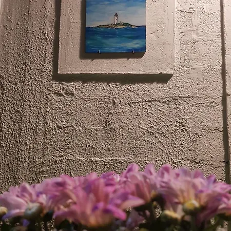 Matisse Bed & Breakfast