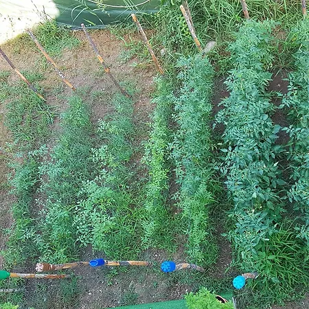 Bed & Breakfast Matisse 4*