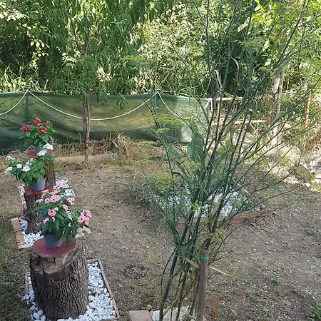 Matisse B&B