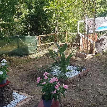 Bed & Breakfast Matisse 4*