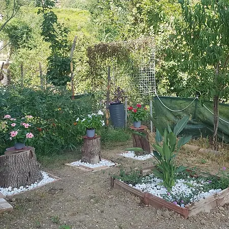 Matisse Bed & Breakfast Laureana Cilento