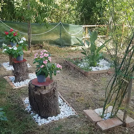 Bed & Breakfast Matisse Laureana Cilento