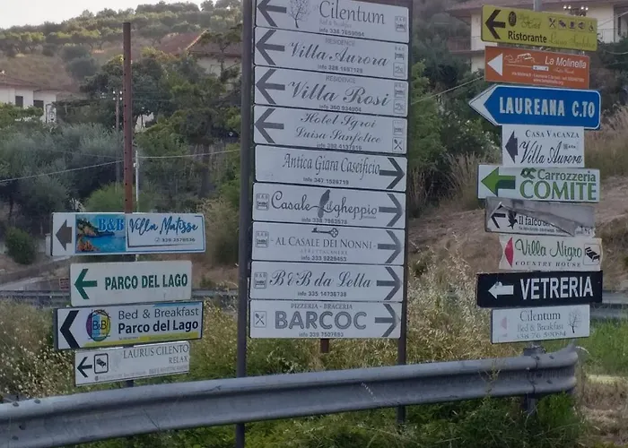 Matisse Couette-café Laureana Cilento