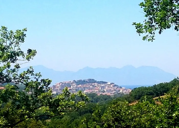 Couette-café Matisse