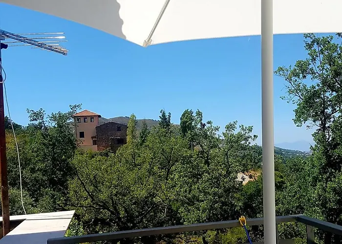 Matisse Couette-café Laureana Cilento