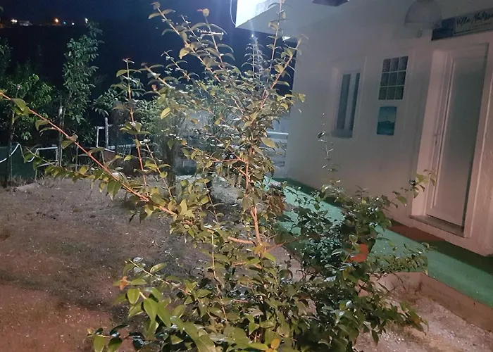 Matisse Couette-café Laureana Cilento