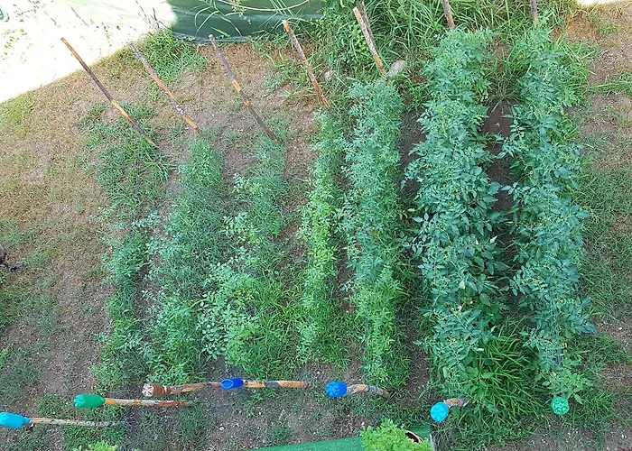 Couette-café Matisse 4*