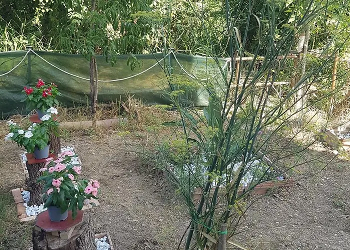 Matisse Отель типа 