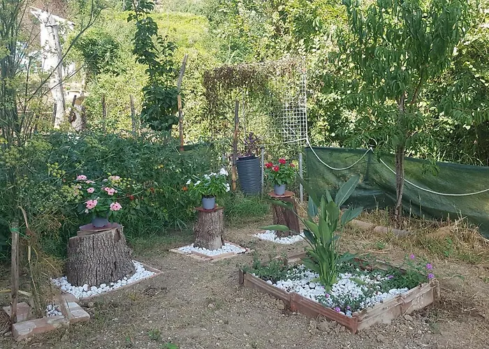 Matisse Couette-café Laureana Cilento