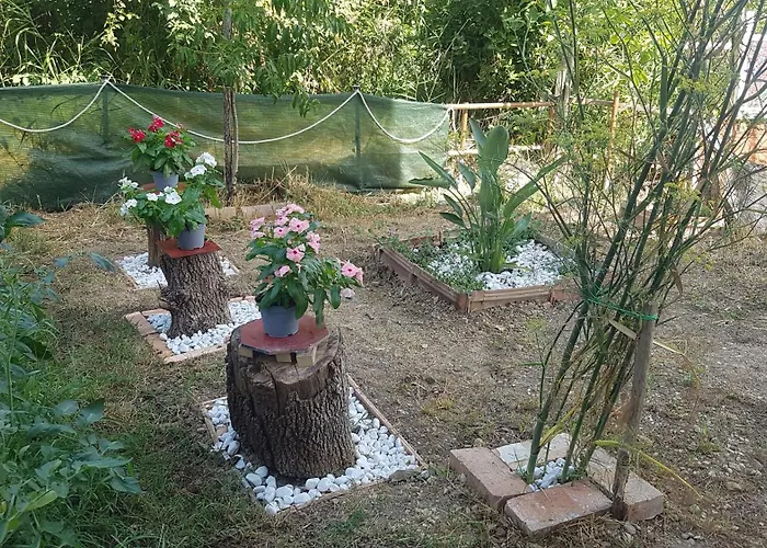 Couette-café Matisse Laureana Cilento