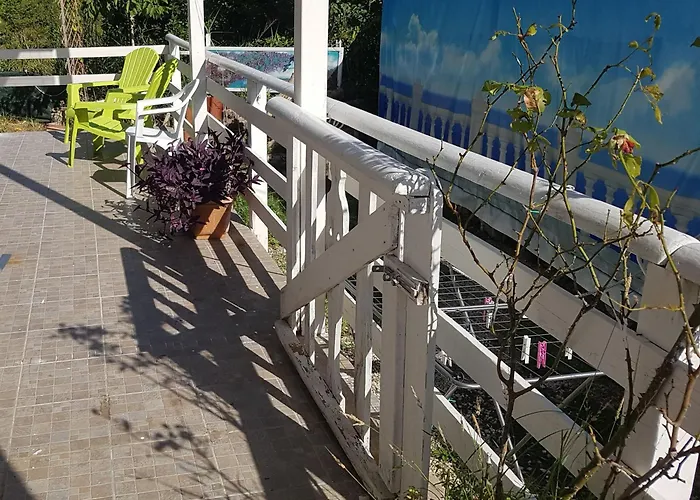 Couette-café Matisse Laureana Cilento